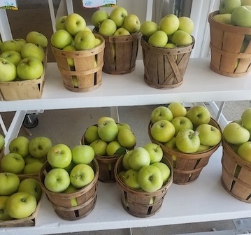 transparent apples