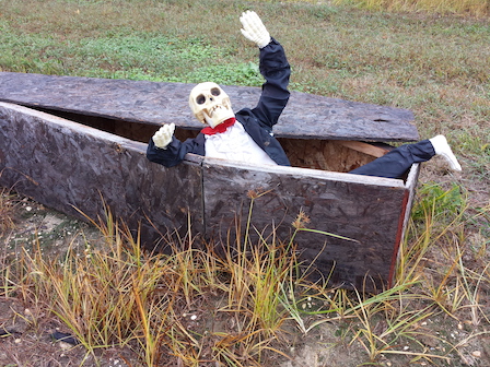 skeleton in a coffin