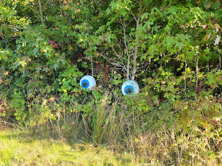 giant eyeballs