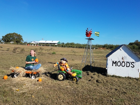 Pumpkin Hayrides