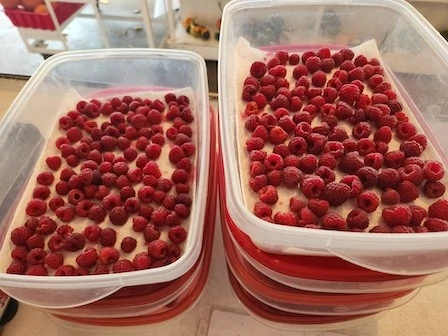 Containers of raspberries