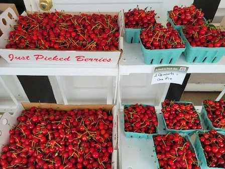 Already picked pie cherries