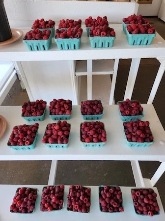 Half pints of raspberries